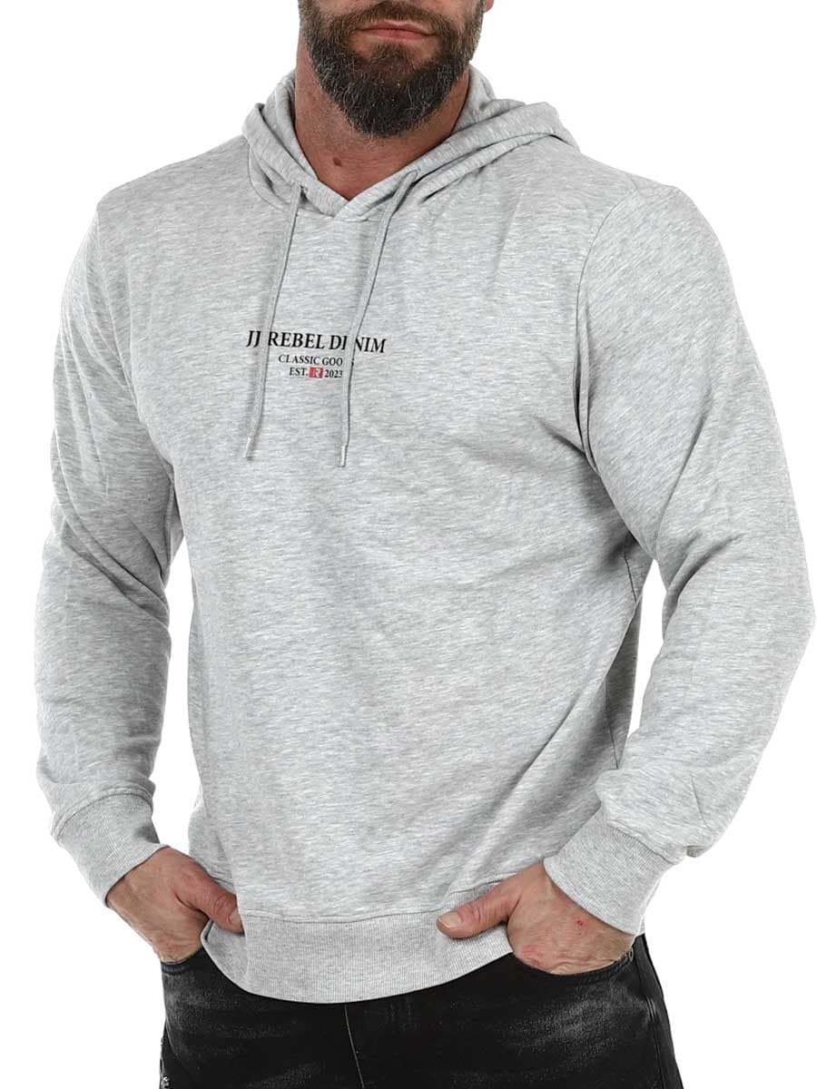 12268879 light-grey-Rebel Print Hoodie_3.jpg