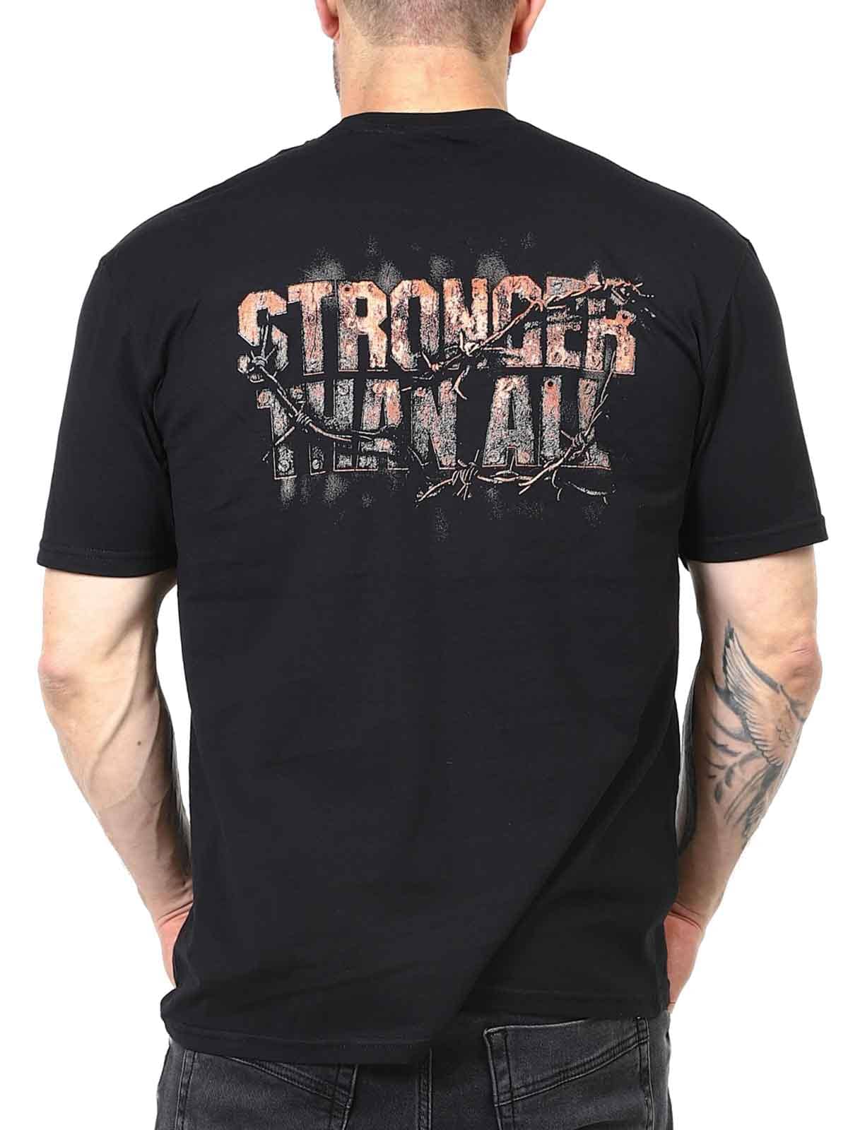 Pantera Stronger then wall_4.jpg